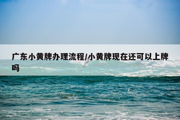 广东小黄牌办理流程/小黄牌现在还可以上牌吗