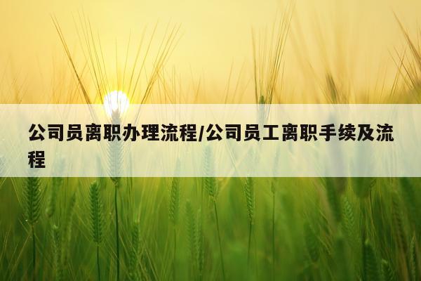 公司员离职办理流程/公司员工离职手续及流程