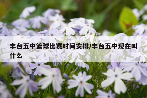 丰台五中篮球比赛时间安排/丰台五中现在叫什么