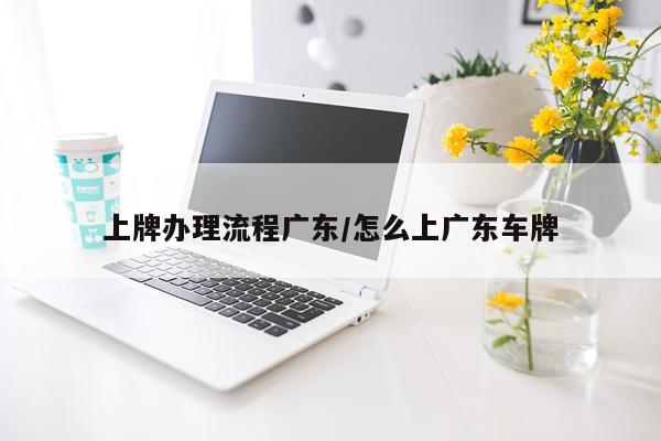 上牌办理流程广东/怎么上广东车牌