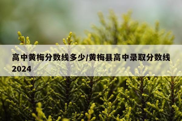 高中黄梅分数线多少/黄梅县高中录取分数线2024