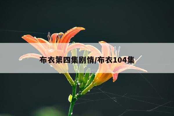 布衣第四集剧情/布衣104集