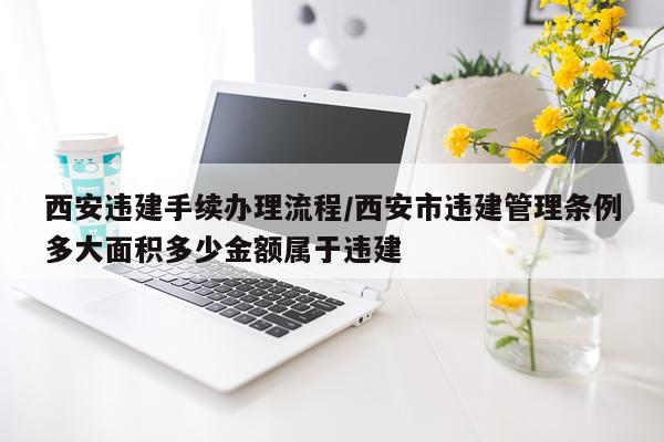 西安违建手续办理流程/西安市违建管理条例多大面积多少金额属于违建