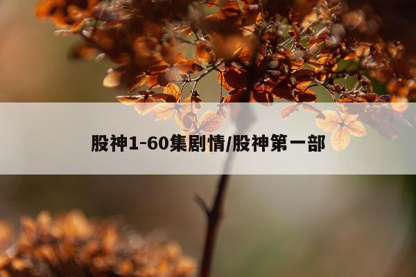 股神1-60集剧情/股神第一部
