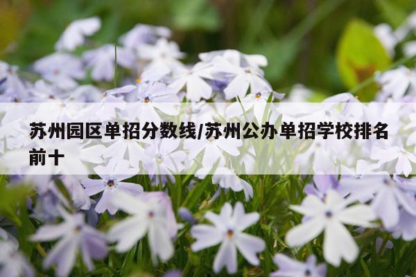苏州园区单招分数线/苏州公办单招学校排名前十