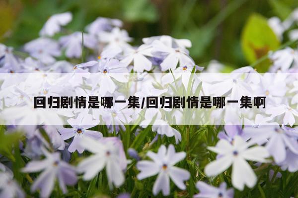 回归剧情是哪一集/回归剧情是哪一集啊
