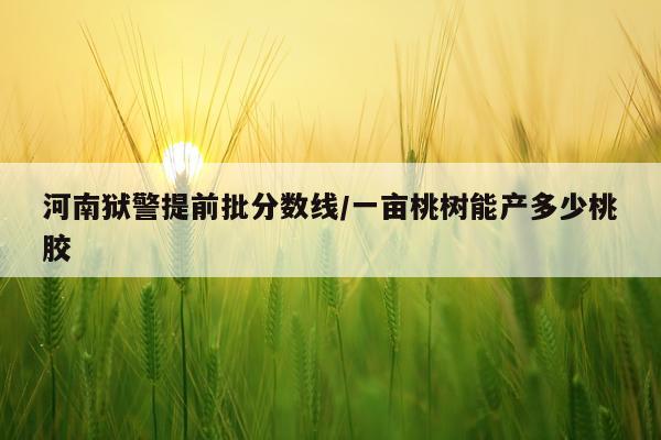 河南狱警提前批分数线/一亩桃树能产多少桃胶