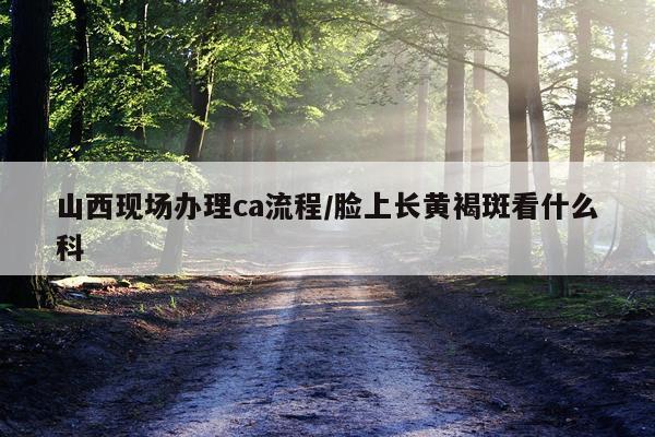 山西现场办理ca流程/脸上长黄褐斑看什么科