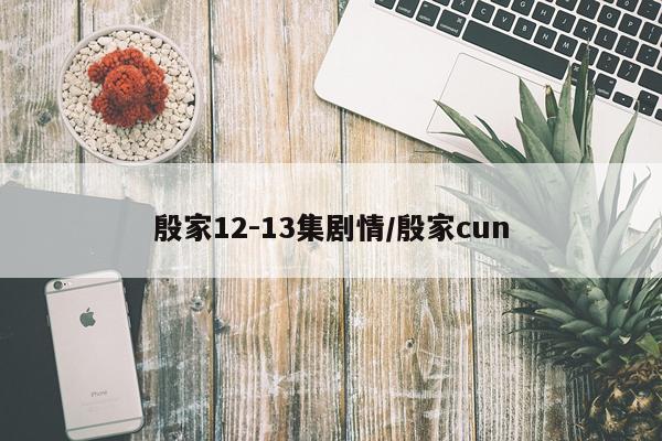 殷家12-13集剧情/殷家cun
