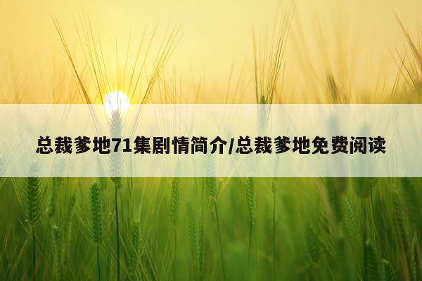 总裁爹地71集剧情简介/总裁爹地免费阅读