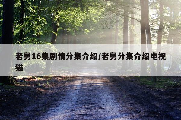 老舅16集剧情分集介绍/老舅分集介绍电视猫
