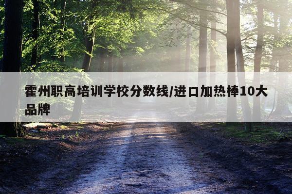 霍州职高培训学校分数线/进口加热棒10大品牌
