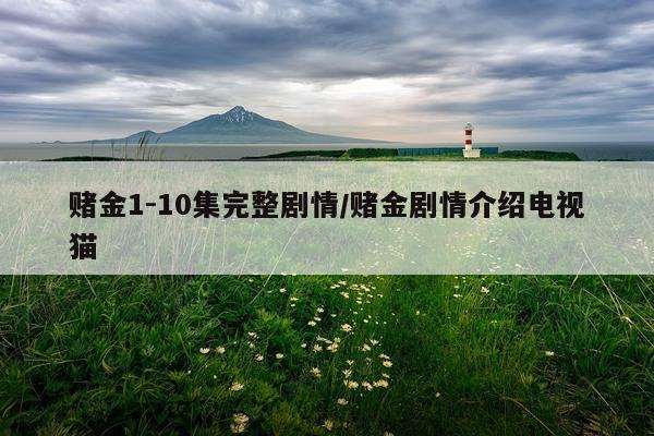 赌金1-10集完整剧情/赌金剧情介绍电视猫