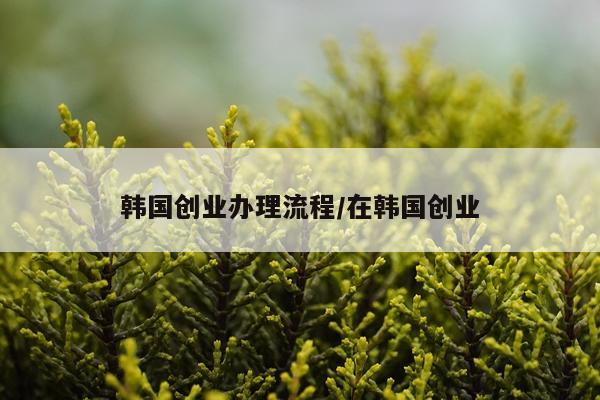韩国创业办理流程/在韩国创业