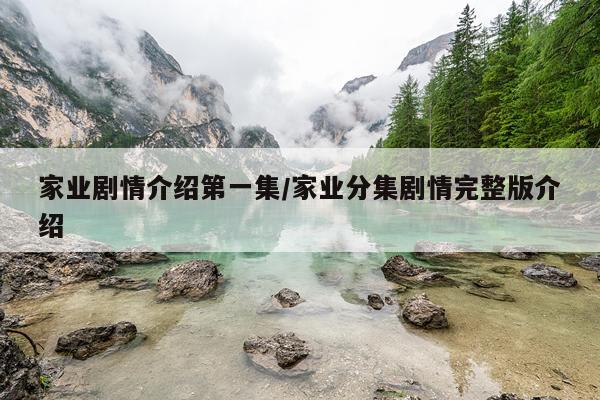 家业剧情介绍第一集/家业分集剧情完整版介绍