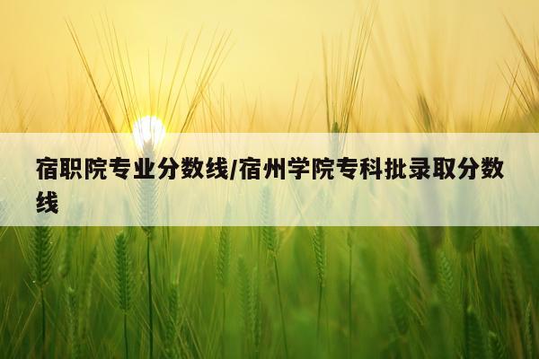 宿职院专业分数线/宿州学院专科批录取分数线