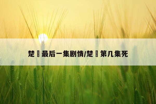 楚垚最后一集剧情/楚岺第几集死