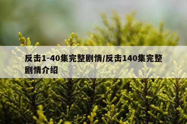 反击1-40集完整剧情/反击140集完整剧情介绍