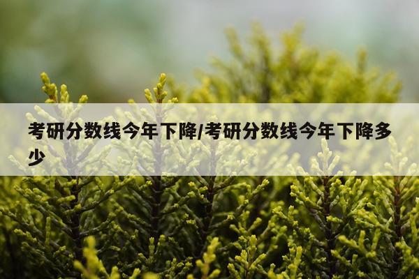 考研分数线今年下降/考研分数线今年下降多少