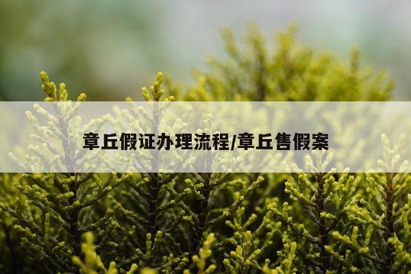 章丘假证办理流程/章丘售假案