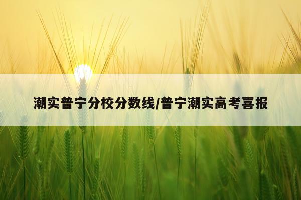 潮实普宁分校分数线/普宁潮实高考喜报