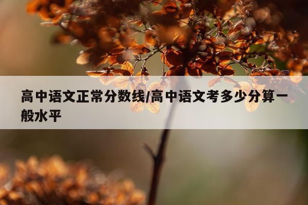 高中语文正常分数线/高中语文考多少分算一般水平