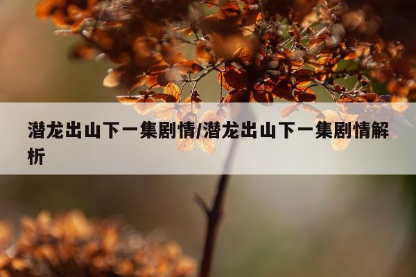 潜龙出山下一集剧情/潜龙出山下一集剧情解析
