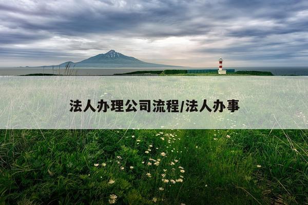 法人办理公司流程/法人办事