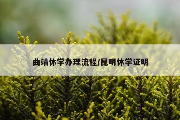 曲靖休学办理流程/昆明休学证明