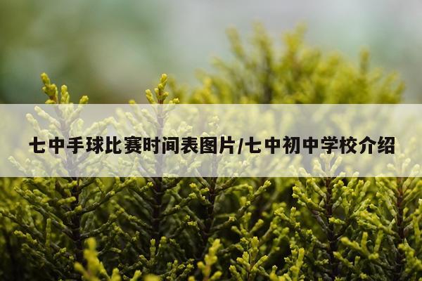 七中手球比赛时间表图片/七中初中学校介绍
