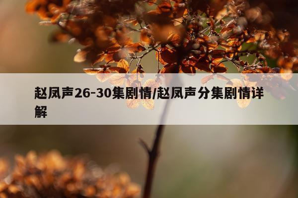 赵凤声26-30集剧情/赵凤声分集剧情详解