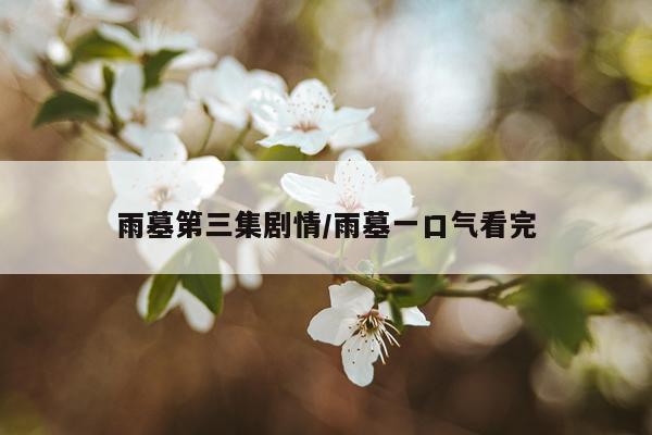 雨墓第三集剧情/雨墓一口气看完