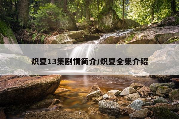 炽夏13集剧情简介/炽夏全集介绍