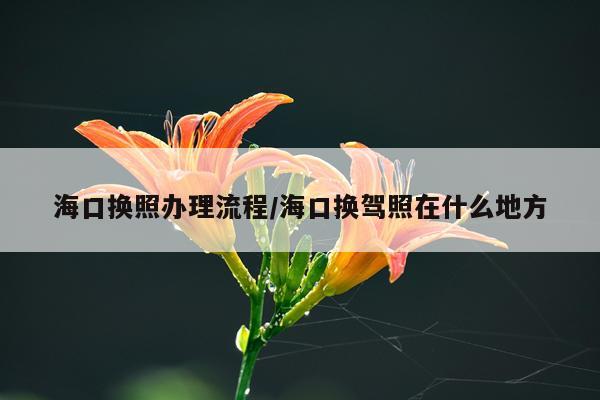 海口换照办理流程/海口换驾照在什么地方