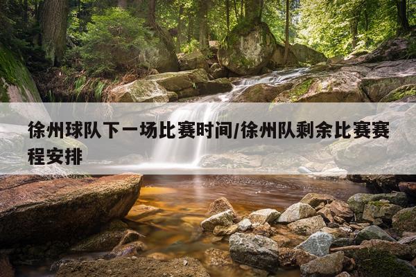 徐州球队下一场比赛时间/徐州队剩余比赛赛程安排