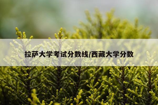 拉萨大学考试分数线/西藏大学分数
