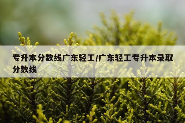 专升本分数线广东轻工/广东轻工专升本录取分数线