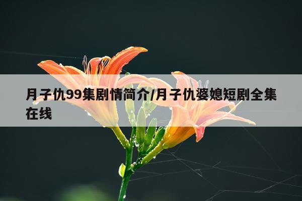 月子仇99集剧情简介/月子仇婆媳短剧全集在线