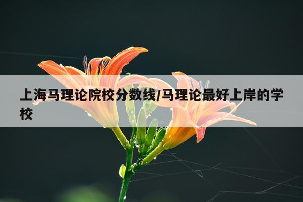 上海马理论院校分数线/马理论最好上岸的学校