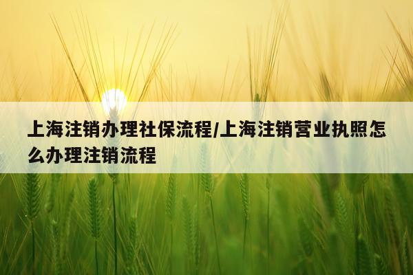 上海注销办理社保流程/上海注销营业执照怎么办理注销流程