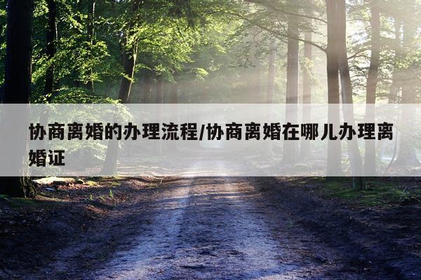 协商离婚的办理流程/协商离婚在哪儿办理离婚证