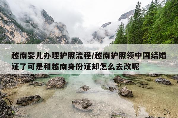 越南婴儿办理护照流程/越南护照领中国结婚证了可是和越南身份证却怎么去改呢