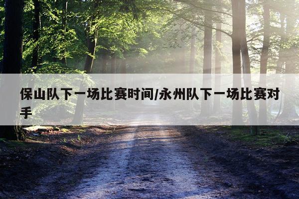 保山队下一场比赛时间/永州队下一场比赛对手