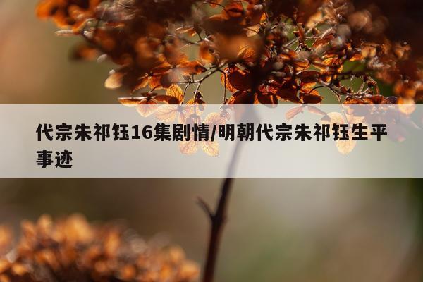 代宗朱祁钰16集剧情/明朝代宗朱祁钰生平事迹