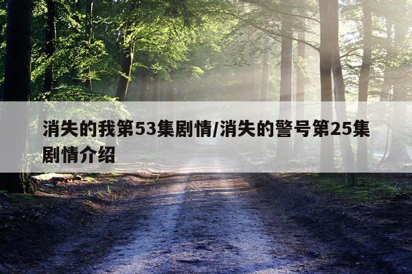 消失的我第53集剧情/消失的警号第25集剧情介绍