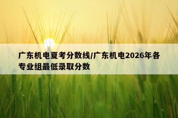 广东机电夏考分数线/广东机电2026年各专业组最低录取分数