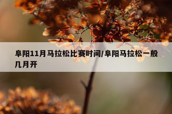 阜阳11月马拉松比赛时间/阜阳马拉松一般几月开