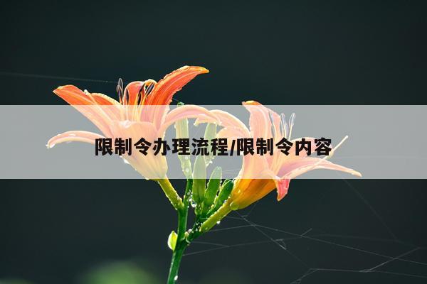 限制令办理流程/限制令内容