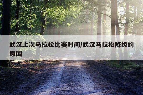 武汉上次马拉松比赛时间/武汉马拉松降级的原因