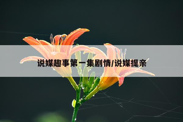 说媒趣事第一集剧情/说媒提亲